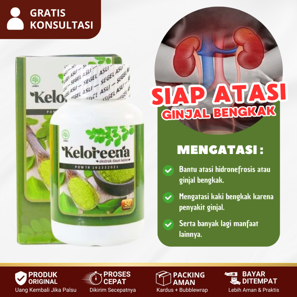 Obat Ginjal Bengkak, Hidronefrosis, Kaki Bengkak Penyakit Ginjal, Radang Ginjal - KELOREENA