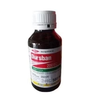 Insektisida Dursban 500ml