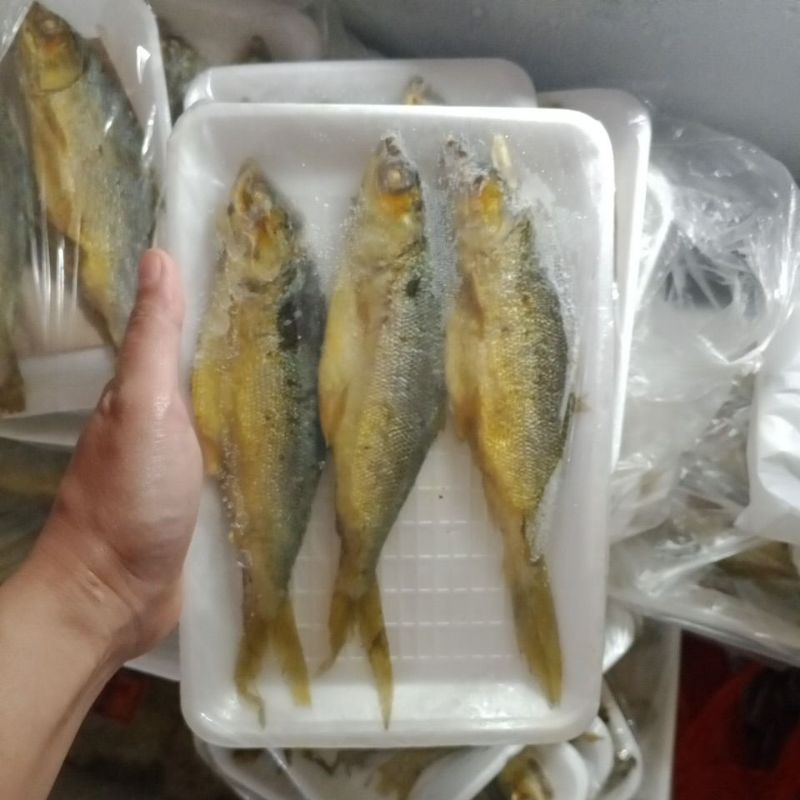 

Bandeng Presto BESAR (TERMURAH)