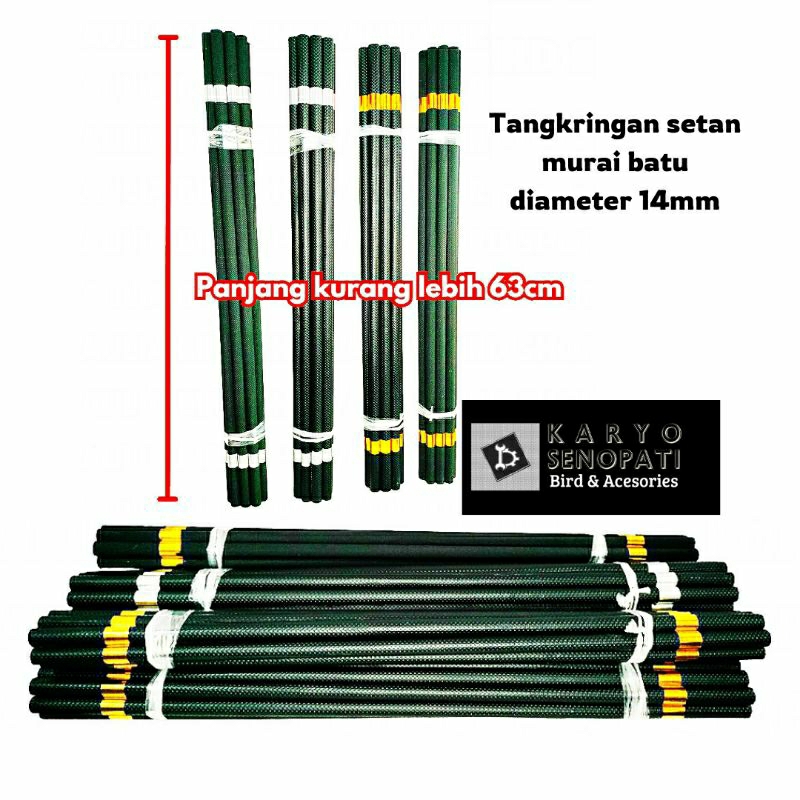 tangkringan setan beranak tangset murai batu tangkringan karet pangkringan murai batu