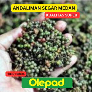 

ANDALIMAN SEGAR KERING BUMBU KHAS BATAK MEDAN KUALITAS SPUER