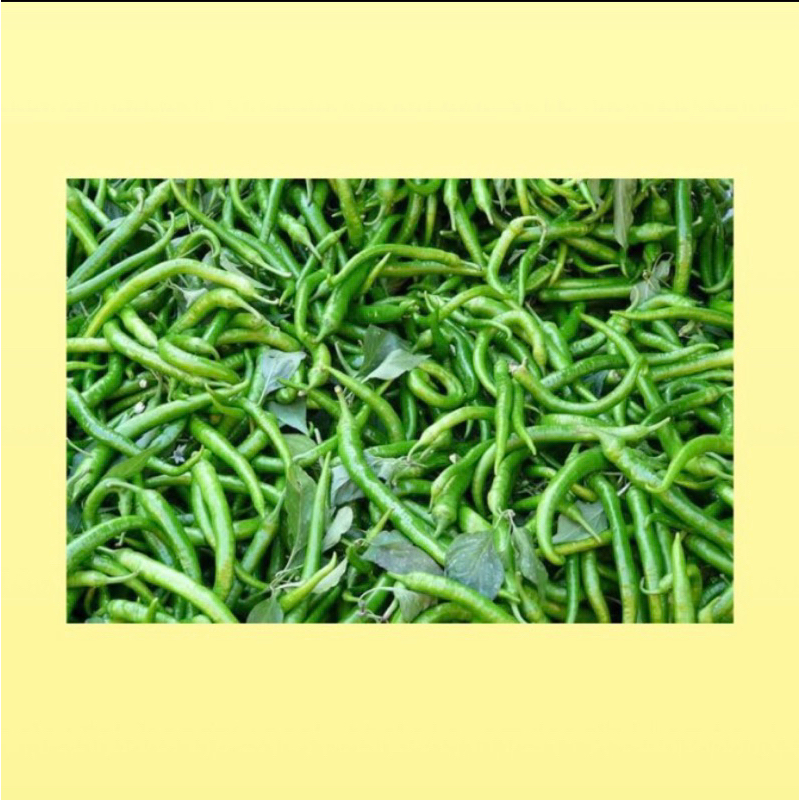 

Cabe hijau kriting / cabe hijau kriting fresh / lombok