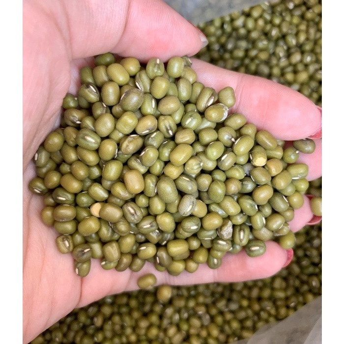 

Kacang Hijau Segar Organik 1 Kg Masakan Food