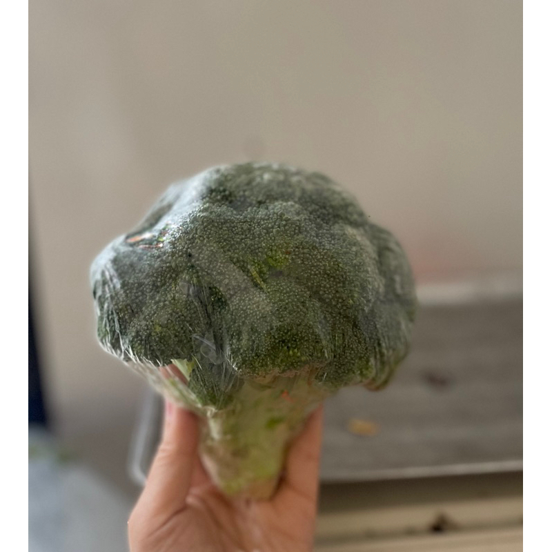 

fresh brokoli IMPORT premium per pc