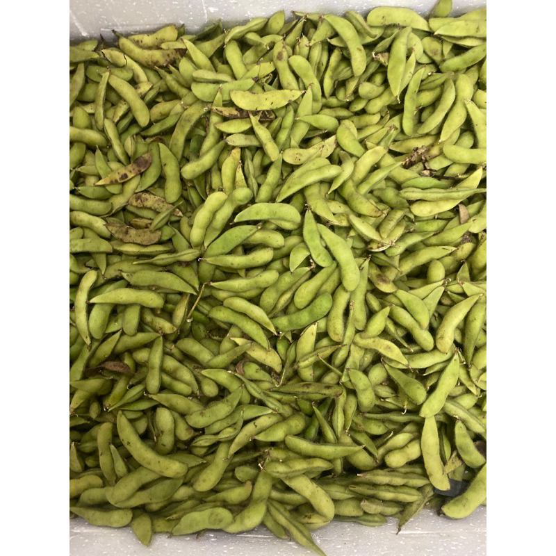 

Edamame kemasan 1kg
