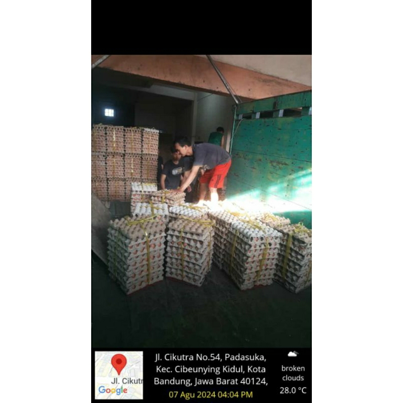 

DA Telur ayam negeri isi 30 butir sekitar 1,9 kg kulit lebih tebal /kirim instan
