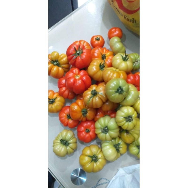 

tomatmawar1kg