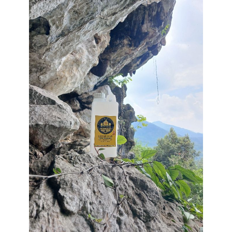 

MADU HUTAN LIAR FINDO MADU DITEBING DAN DI POHON SIALANG PASTI ASLI DAN MURNI 100%