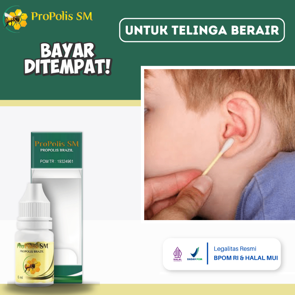 Obat Telinga Berair, Obat Telinga Congek, Obat Telinga Berair Dan Bau, Telinga Bernanah, Obat Congek