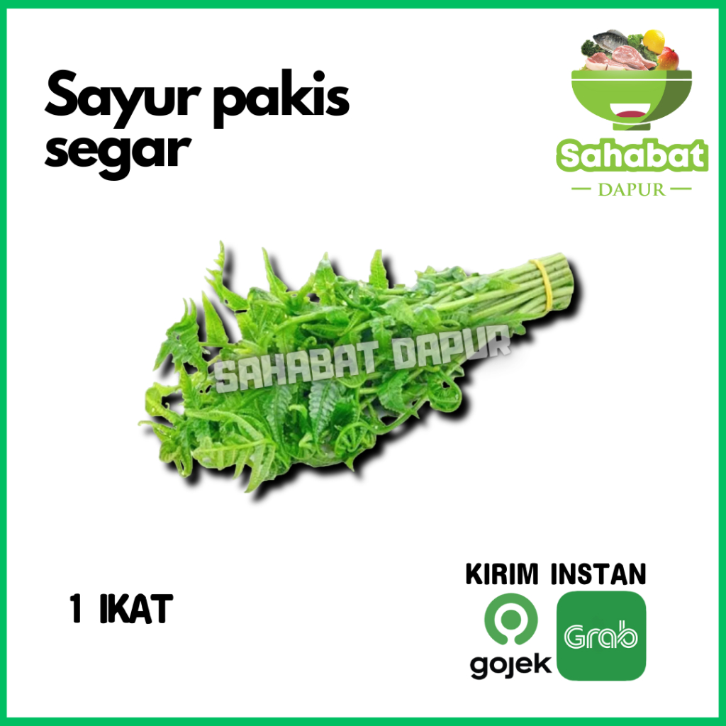 

Daun Pakis 1 Ikat - Sahabatdapur