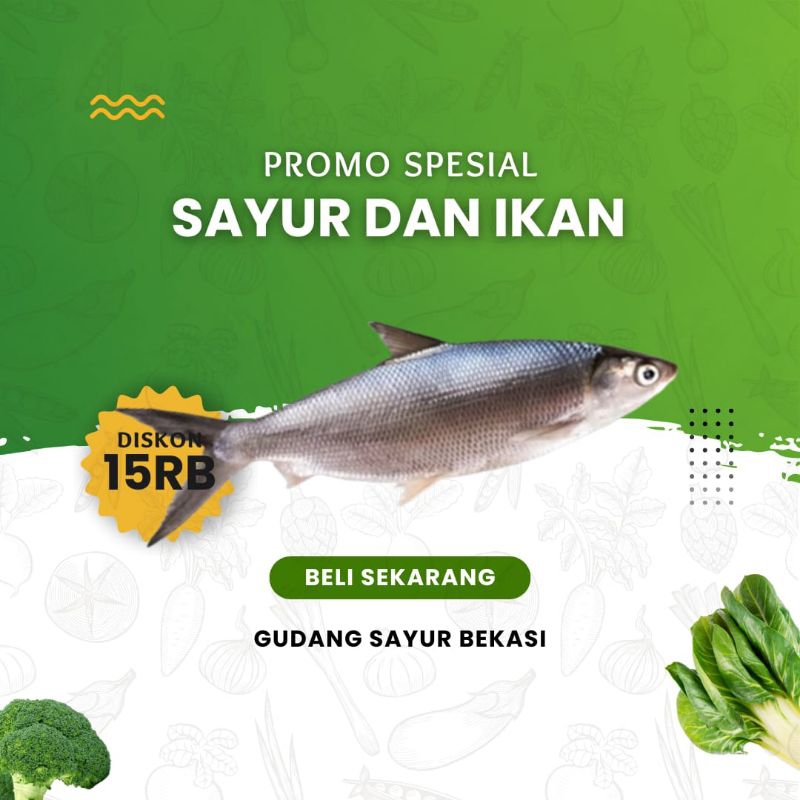 

Ikan Bandeng Segar 500 gr