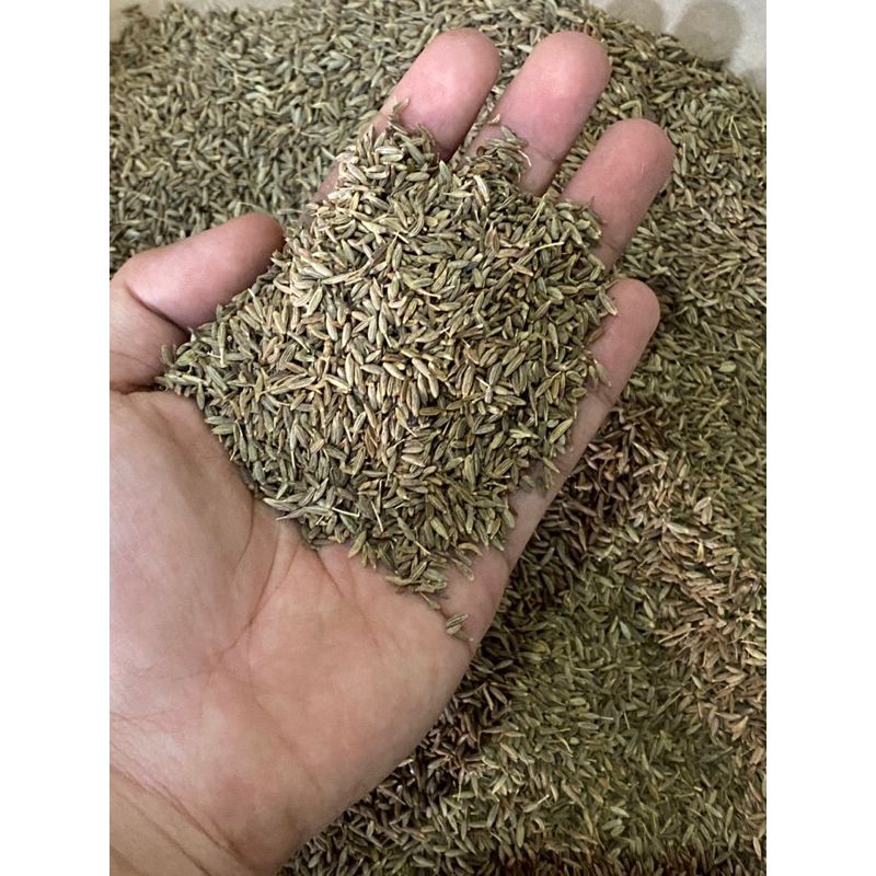 

jinten masak ori