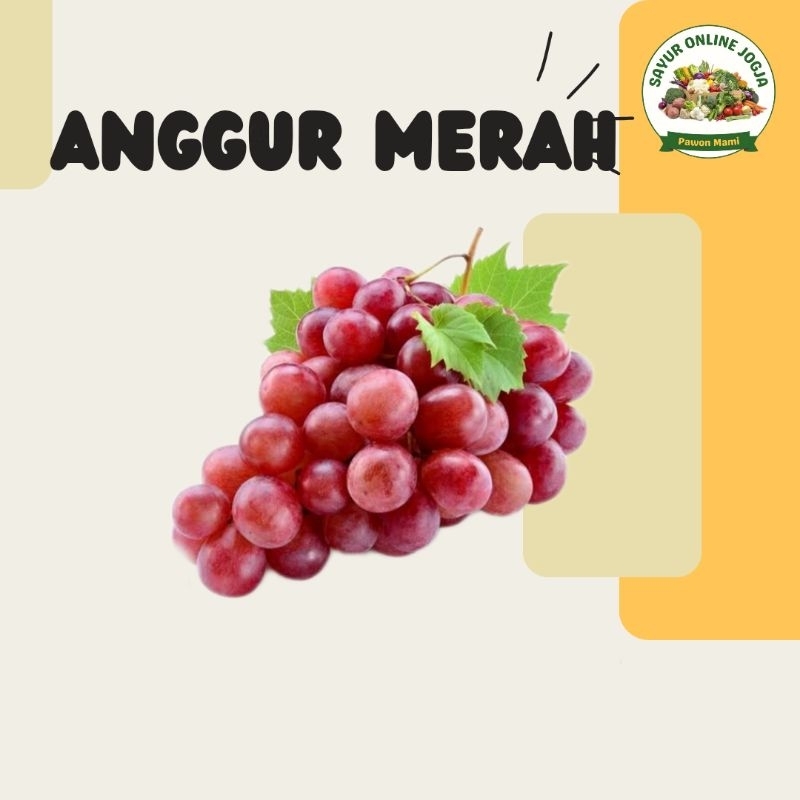 

Anggur - PAWON MAMI SAYUR ONLINE JOGJA