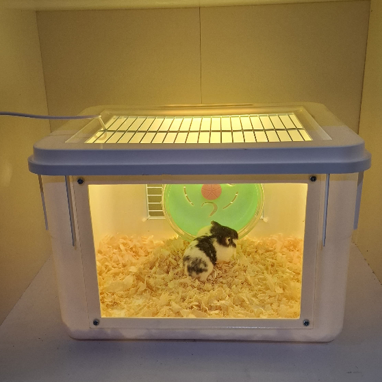 Box kandang hamser reptil gecko iguana kura-kura landak mini