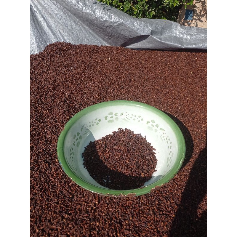 

Rempah Cengkeh 100g