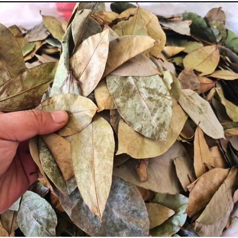 

Daun Sirsak Kering 500gr