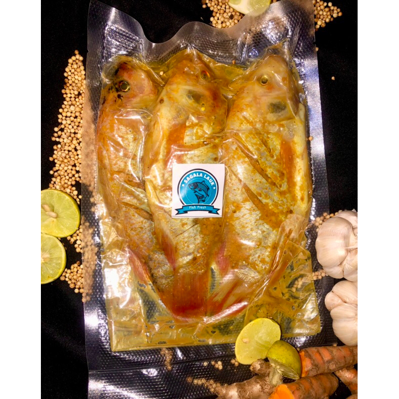 

Nila frozen/Ikan Nila Merah Bumbu Marinasi Siap Goreng Berat 400- 500 gram