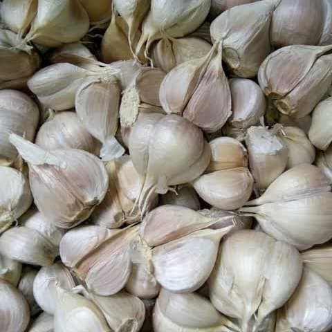 

Bawang Putih Kating Cating 1kg