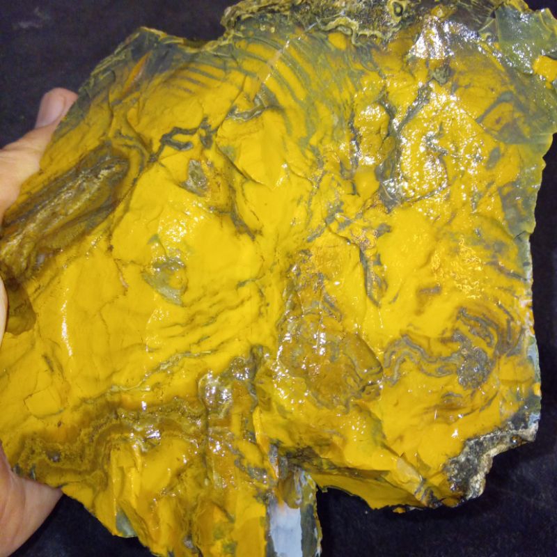 Natural Batu Warna Langka Kuning Golkar Motif