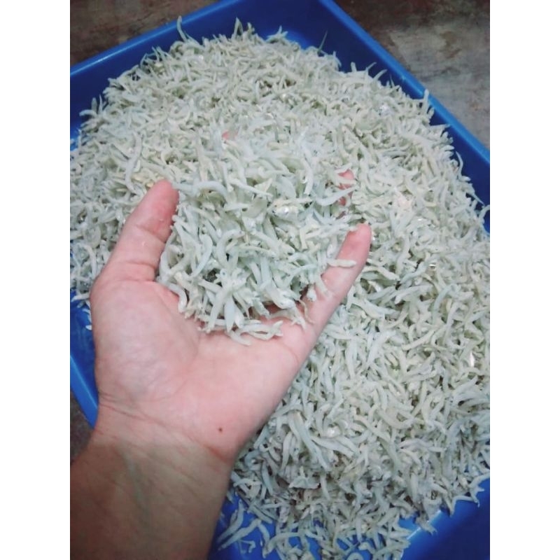 

Ikan Teri Taoge Super Asli dari Medan, 1 kg lebih Hemat