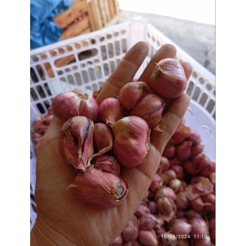 

bawang merah jumbo 1kg murah, bawang merah murah 1kg