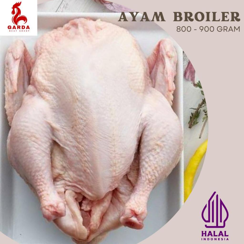 

Ayam Broiler Karkas Fresh Frozen Utuh 800-900gr