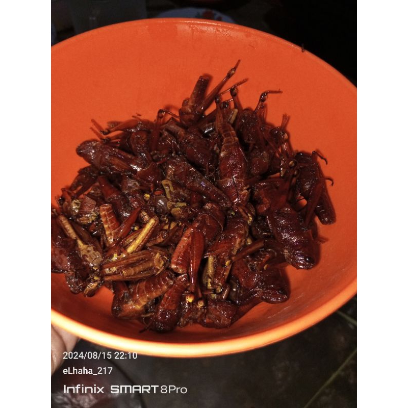 

belalang goreng 100gr