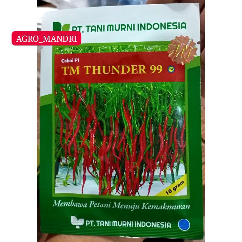 Benih Bibit Cabe Keriting TM THUNDER F1 10 gram