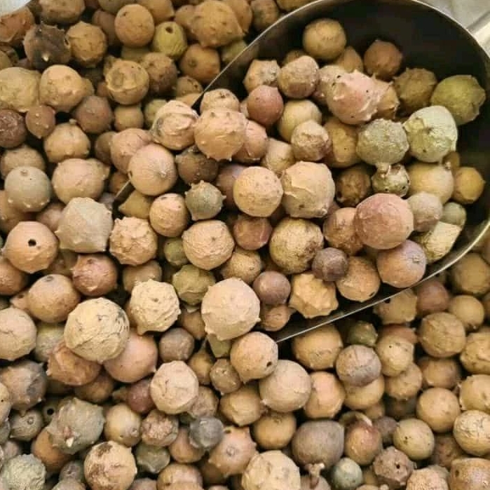 

biji manjakani 1kg/buah manjakani bagus kering free kardus packing baru