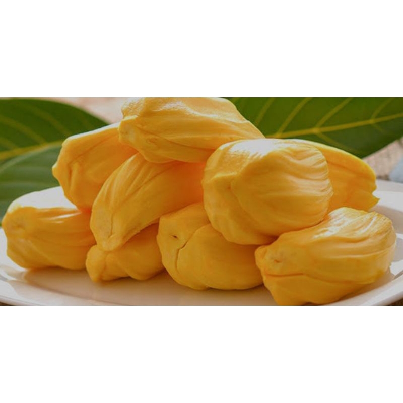 

Nangka Kupas Segar Manis 500g -1kg.