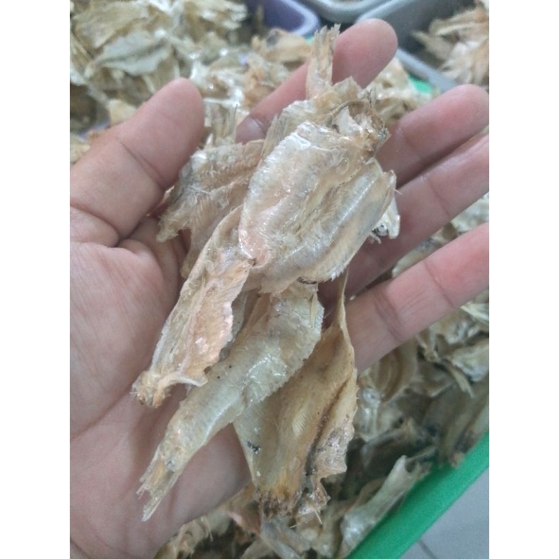 

Ikan Rampai tawar ( pakang tawar) kualitas biasa