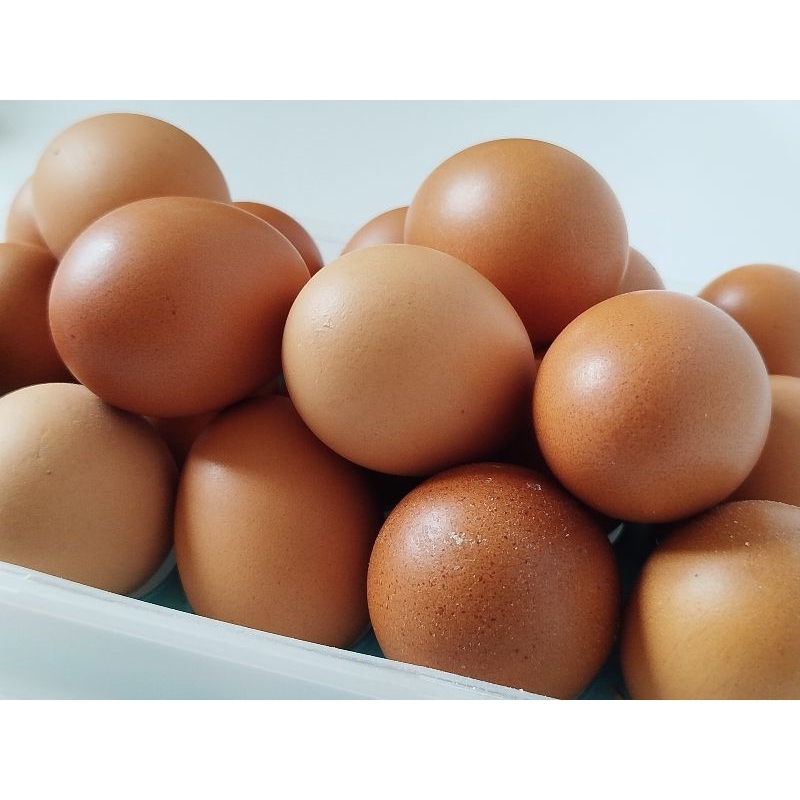 

Telur Ayam Mentah 1 kg ready stok