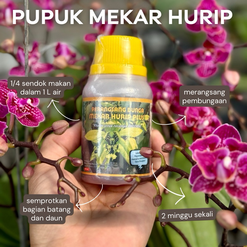MEKAR HURIP PLUS 100 ml