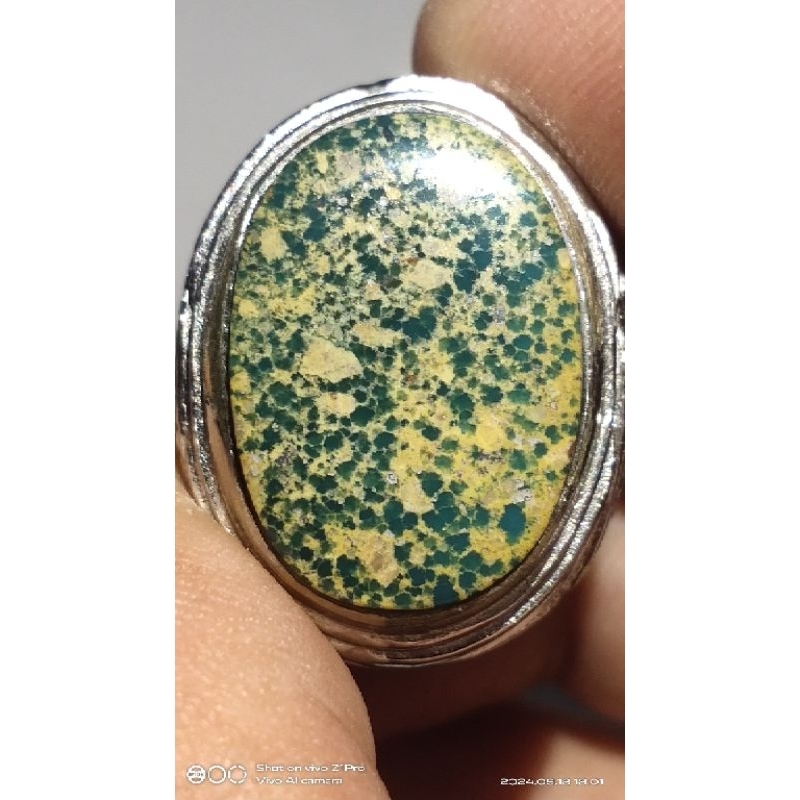 pirus persia hijau urat emas