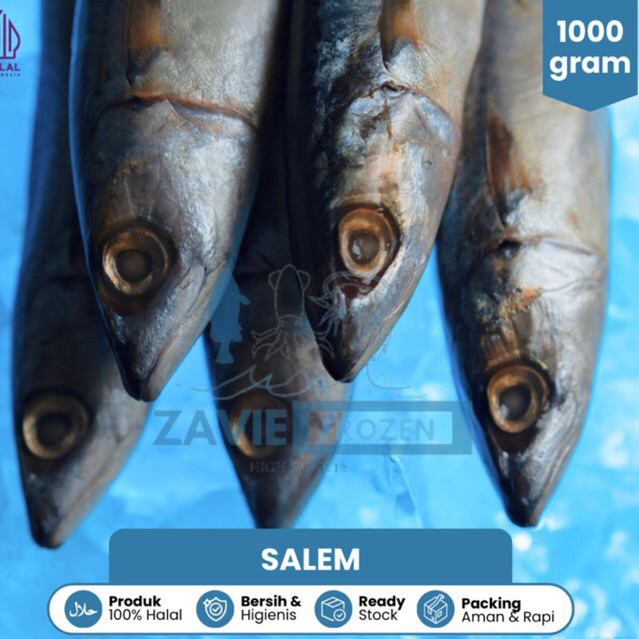 

[BEST SELLER] IKAN SALEM (Makarel) ZavieFROZEN 1KG