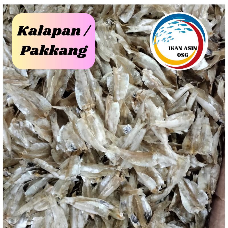 

Kalapan tawar / pakkang/amigo