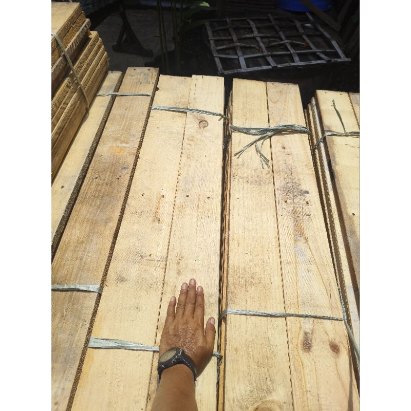 Papan kayu jati belanda, jati londo, pinus ex pallet