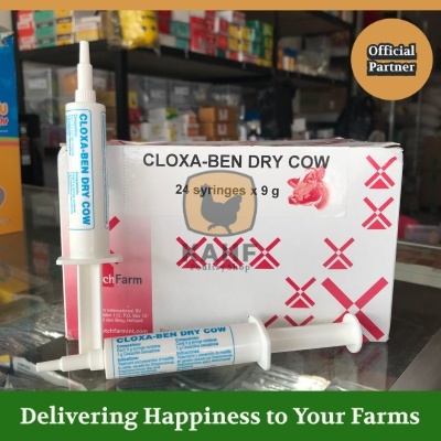 Cloxa Ben Dry Cow Obat Mastitis Sapi Masa Kering Mirip Depolac [KAHF PS]