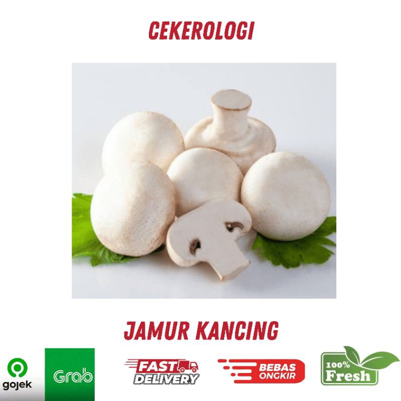 

Jamur Kancing 250gr / Jamur Kancing / Jamur Kancing Fresh Berkualitas / JABODETABEK / Jamur