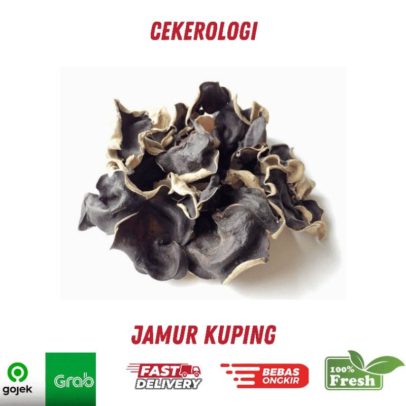Jamur Kuping 1kg / Jamur Kuping / Jamur Kuping Fresh Berkualitas / Jamur / JABODETABEK / Sayur / Say