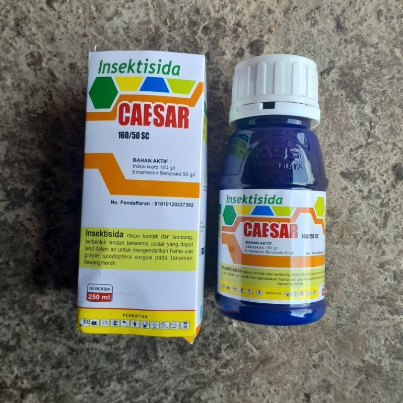 Insektisida Caesar 250ml obah hama ulat grayak