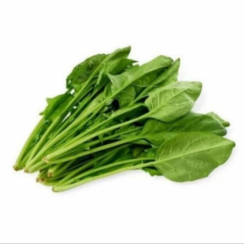 

Horenso / Horenzo Hidroponik