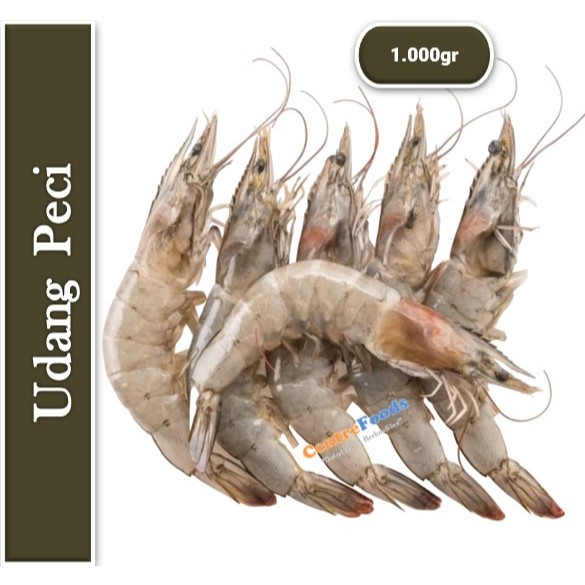 

Udang Peci Besar Fresh - Udang Jarbung | 1.000gr [ Harga Per KG ]