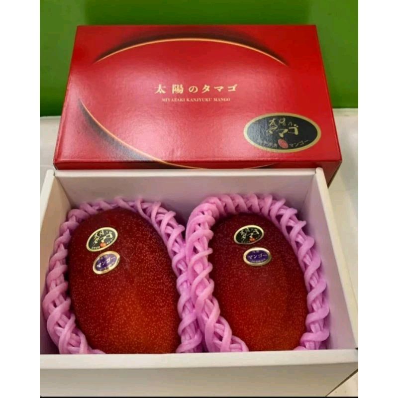 Entres/cutting mangga import Miyazaki entres untuk bahan sambung okulasi