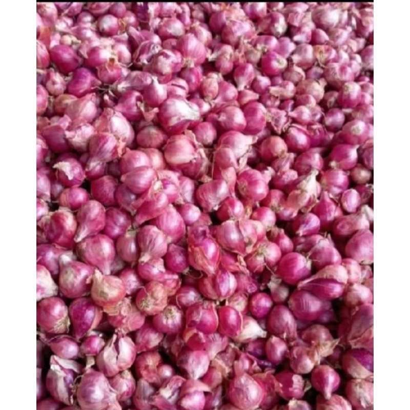 

BAWANG MERAH 1KG