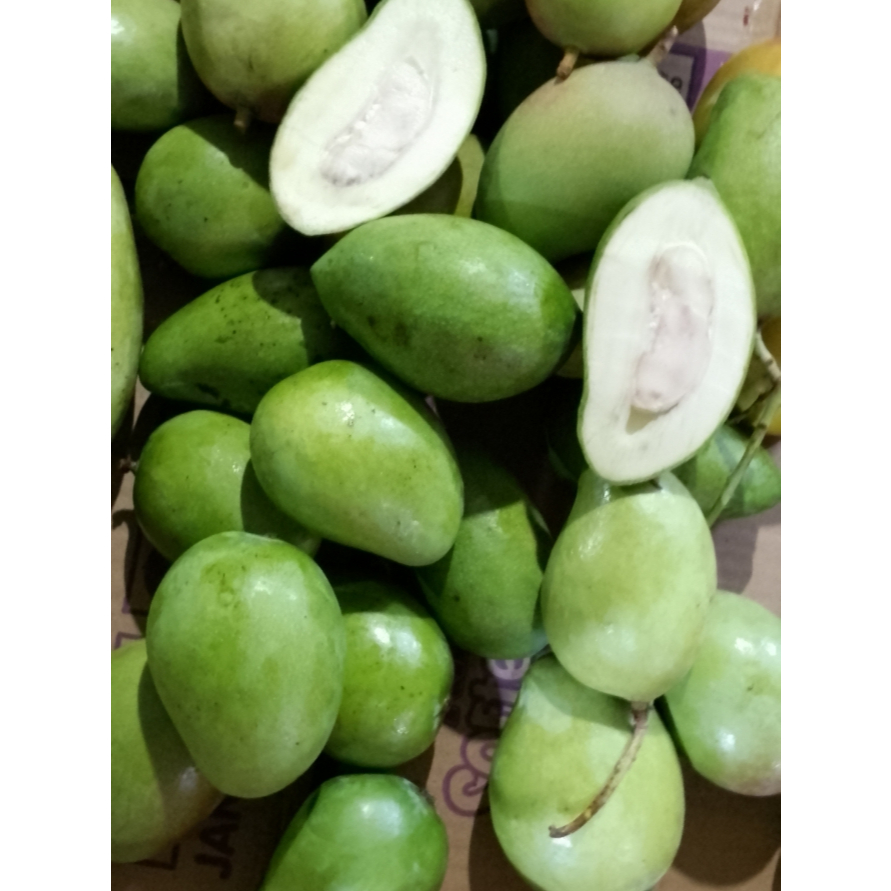 

Manggarujakmentahsegarasem