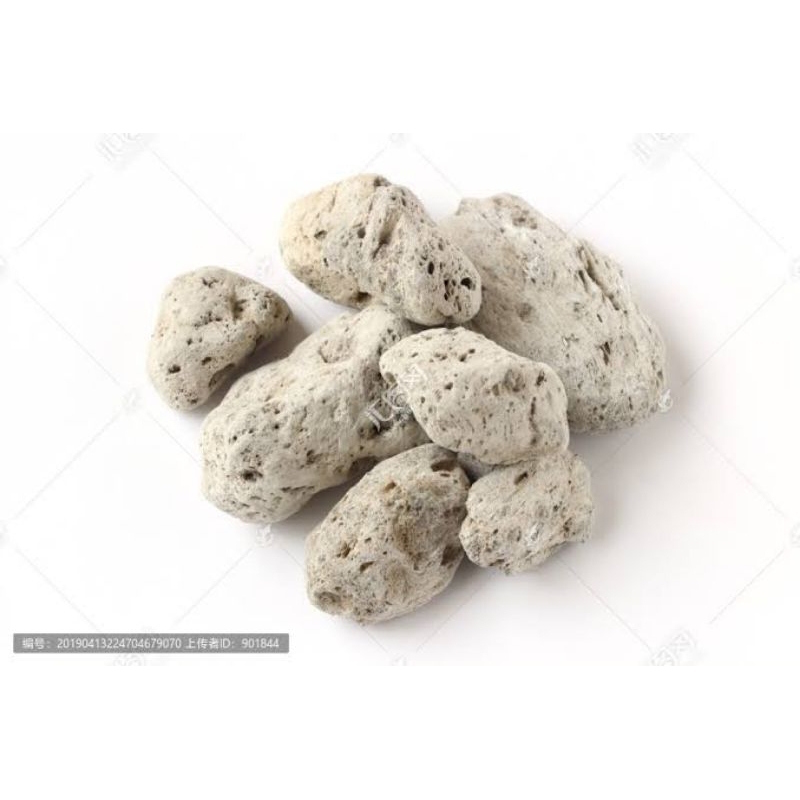 

10 G 50 GR 100 GRAM 浮海石 FU HAI SHI BATU APUNG BRYOZOATUM