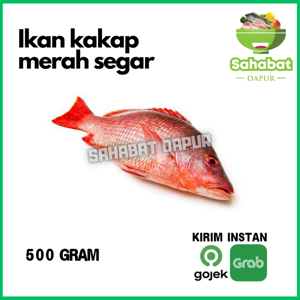 

Ikan Kakap 500gr - Sahabatdapur