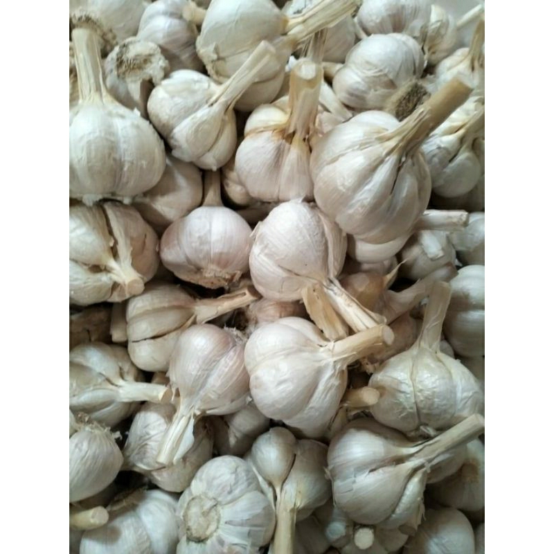 

bawang putih kating/cating 1kg
