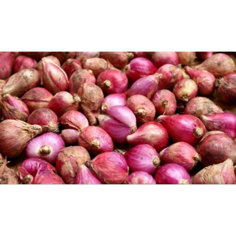 

Bawang merah 1kg